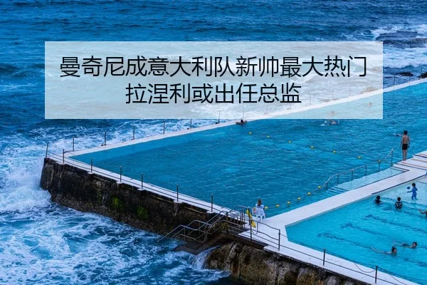 曼奇尼成意大利队新帅最大热门 拉涅利或出任总监